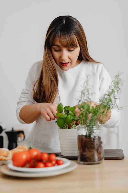 Tips for Creating a Beautiful and Functional Indoor Herb Garden