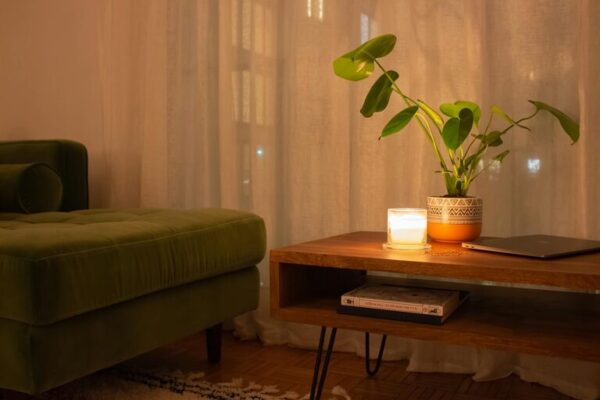 Tips for Creating a Cosy and Inviting Living Space on a Budget